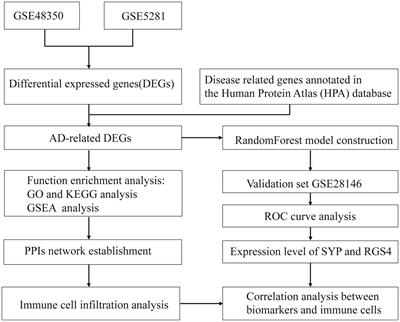 Integrated bioinformatics-based identification of diagnostic markers in Alzheimer disease